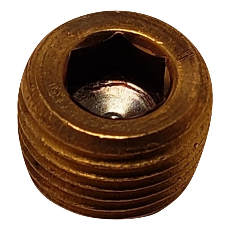 1/8"N.P.T. Plug (219p-2)