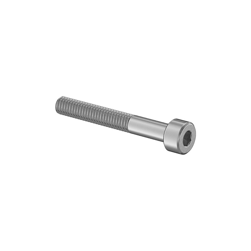 4 x 0.7 x 30mm L Soc Hd Cap Screw, SST